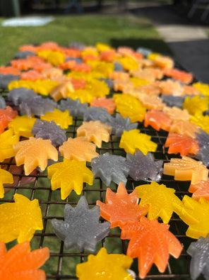 Colorful soft gummies for mindful daily balance