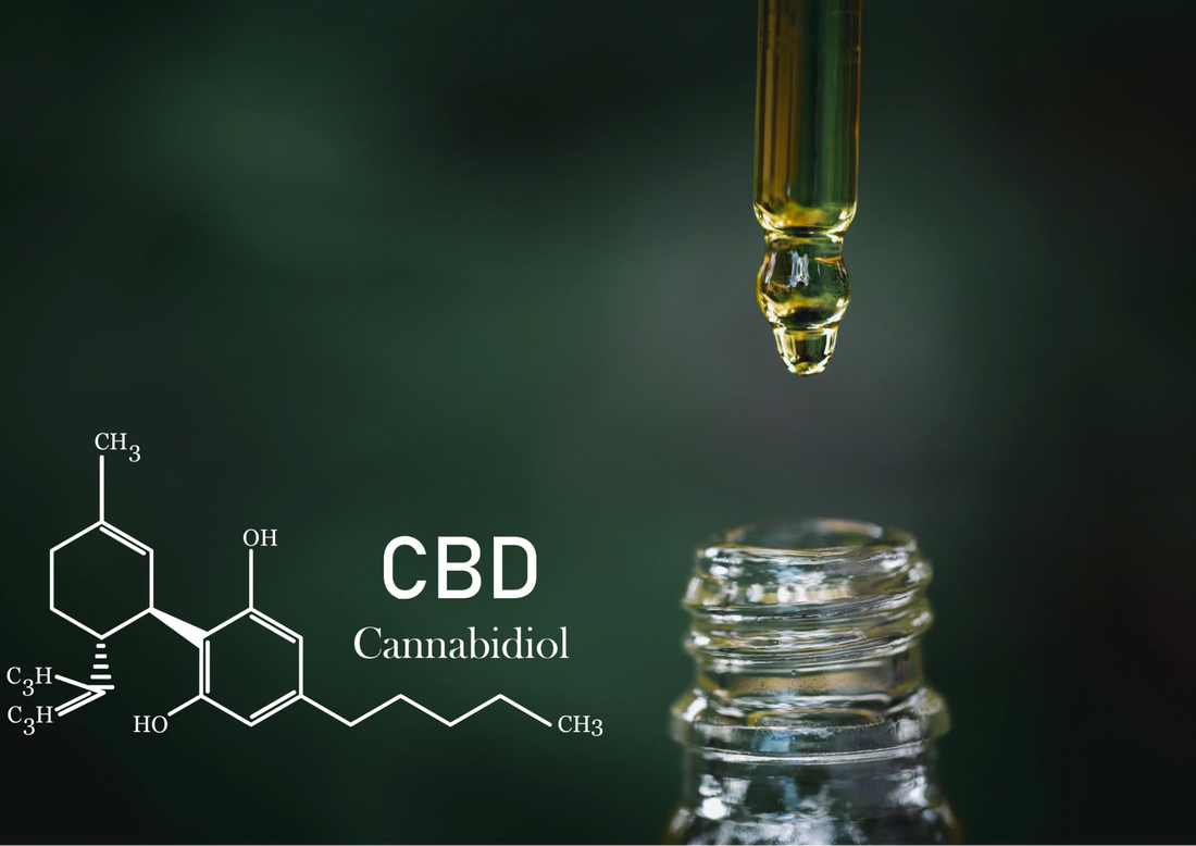 The Surprising Truth: CBD Oil vs. Marijuana – Which Will Change Your Life?