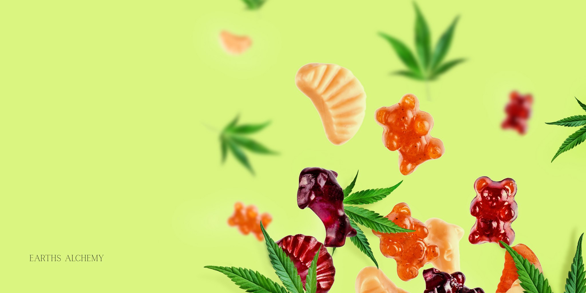CBD OIL VS GUMMIES