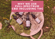 Why We Use Full-Spectrum CBD (Including THC) in Our Oils and Gummies