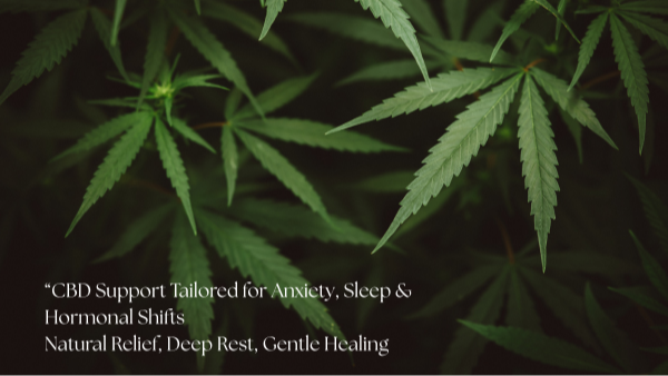 Close-up of cannabis leaves with text about CBD support on a dark background